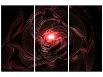 Obraz Świetlista róża, 3 elementy, 90x60 cm - Oobrazy