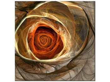 Obraz Świetlista róża, 40x40 cm - Oobrazy