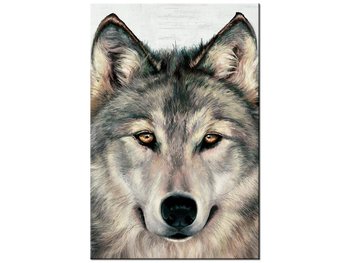 Obraz Szary wilk, 40x60 cm - Oobrazy