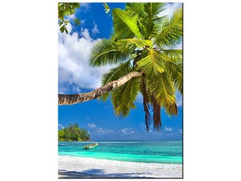 Obraz Tropikalna sceneria - Seszele, 50x70 cm - Oobrazy