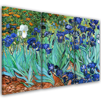 Obraz tryptyk na płótnie trzyczęściowy FEEBY, Irysy Van Gogh 120x80 - Feeby