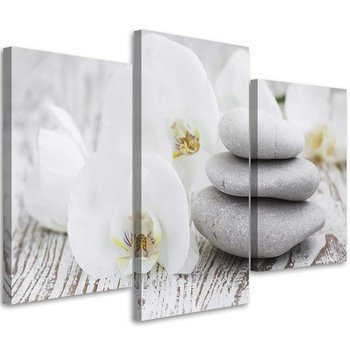 Obraz tryptyk na płótnie trzyczęściowy FEEBY, Orchidea Kamienie Zen Spa 90x60 - Feeby