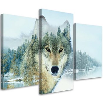 Obraz tryptyk na płótnie trzyczęściowy FEEBY, Zwierzęta Natura Wilk Góry 60x40 - Feeby