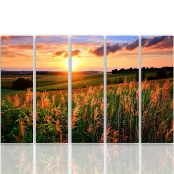 Obraz tryptyk pięcioczęściowy FEEBY, Zachód Słońca Kwiaty Łąka 100x70 - Caro