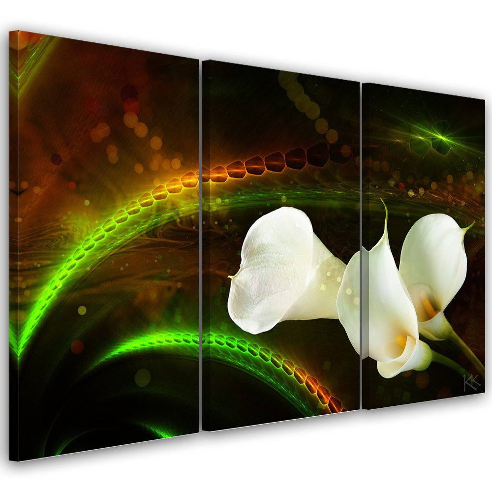 Obraz Trzycz Ciowy Na P Tnie, White Flower On Brown Background - 120x80 ...