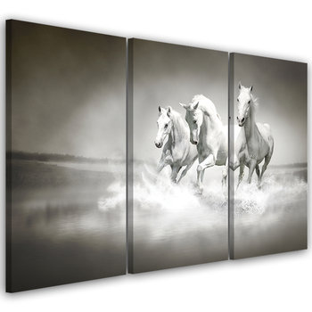 Obraz trzyczęściowy na płótnie FEEBY, Białe Konie Galop 60x30 - Feeby