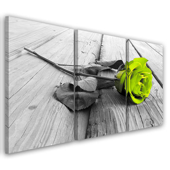 Obraz trzyczęściowy na płótnie FEEBY, Róża na Pomoście Zielony 90x60 - Feeby