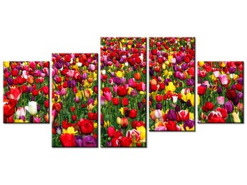 Obraz Tulipany  - Ian Sane, 5 elementów, 150x70 cm - Oobrazy