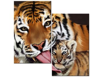 Obraz Tygrys i tygrysek, 2 elementy, 60x60 cm - Oobrazy