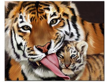 Obraz Tygrys i tygrysek, 50x40 cm - Oobrazy