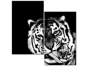 Obraz Tygrysy, 2 elementy, 60x60 cm - Oobrazy