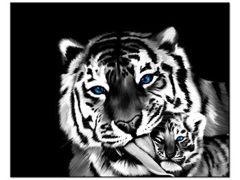 Obraz Tygrysy, 50x40 cm - Oobrazy