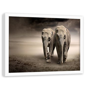 Obraz w ramie białej FEEBY, Afryka Słonie 60x40 - Feeby
