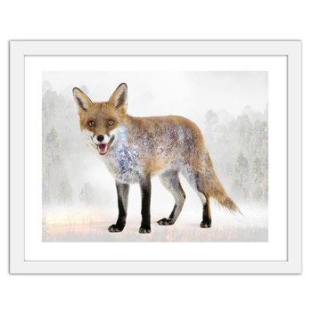Obraz w ramie białej FEEBY Brązowy lis, 50x40 cm - Feeby