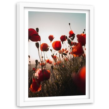 Obraz w ramie białej FEEBY, Czerwone Maki Polne Kwiaty 60x90 - Feeby