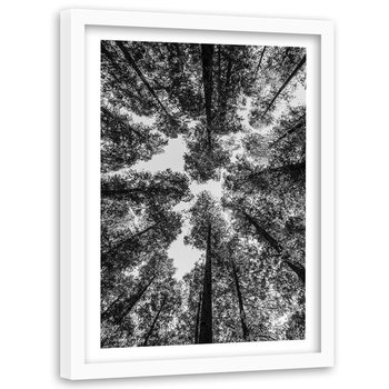 Obraz w ramie białej FEEBY, Czubki drzew, 60x90 cm - Feeby