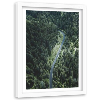 Obraz w ramie białej FEEBY, Droga w lesie, 60x90 cm - Feeby