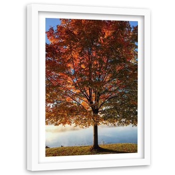 Obraz w ramie białej FEEBY, Drzewo Jesień Liście 80x120 - Feeby