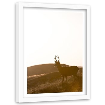 Obraz w ramie białej FEEBY, Jeleń Zwierzęta Łąka 40x60 - Feeby