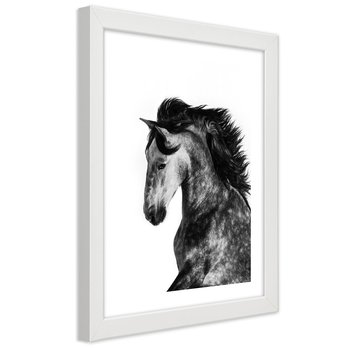 Obraz w ramie białej FEEBY, Koń Zwierzęta Galop 70x100 - Feeby