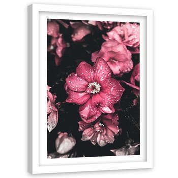 Obraz w ramie białej FEEBY, Kwiaty Różowe Przyroda 20x30 - Feeby