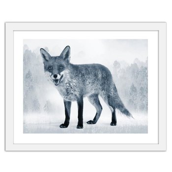 Obraz w ramie białej FEEBY, Szary lis, 29,7x21 cm - Feeby