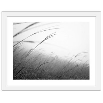 Obraz w ramie białej FEEBY, Trawa we mgle, 50x40 cm - Feeby