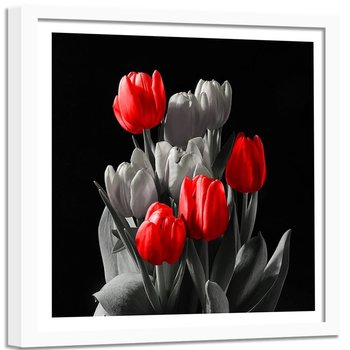 Obraz w ramie białej FEEBY, Tulipan Czerwony Szary 60x60 - Feeby