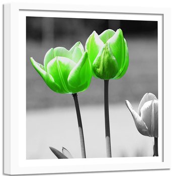 Obraz w ramie białej FEEBY, Tulipany Kwiaty Zielony 60x60 - Feeby
