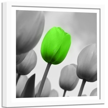 Obraz w ramie białej FEEBY, Tulipany Zielony Szary 50x50 - Feeby