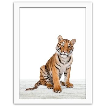 Obraz w ramie białej FEEBY, Tygrys, 70x100 cm - Feeby