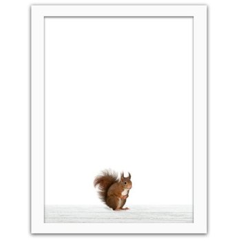 Obraz w ramie białej FEEBY, Wiewiórka, 80x120 cm - Feeby