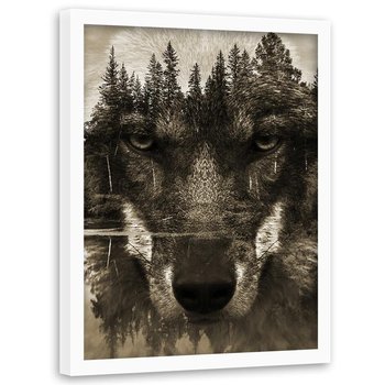 Obraz w ramie białej FEEBY, Wilk Czarny Zwierzęta 50x70 - Feeby