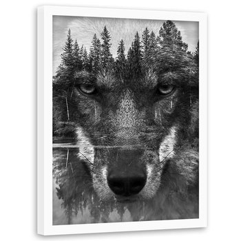 Obraz w ramie białej FEEBY, Wilk Las Zwierzęta Natura 60x80 - Feeby