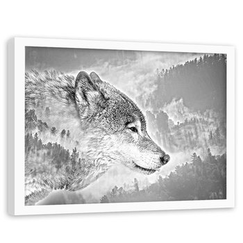 Obraz w ramie białej FEEBY, Wilk na tle Lasu Natura 60x40 - Feeby