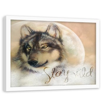 Obraz w ramie białej FEEBY, Wilk Zwierzęta Natura beżowy 60x40 - Feeby