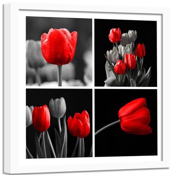 Obraz w ramie białej FEEBY, Zestaw czerwonych tulipanów 60x60 - Feeby