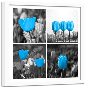 Obraz w ramie białej FEEBY, Zestaw Tulipany Niebieskie 50x50 - Feeby