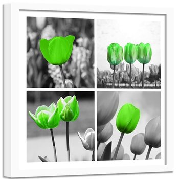 Obraz w ramie białej FEEBY, Zestaw Zielone Tulipany 60x60 - Feeby