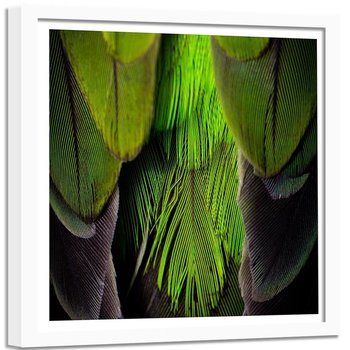 Obraz w ramie białej FEEBY, Zielone Pióra Ptaka 60x60 - Feeby