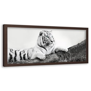 Obraz w ramie brązowej FEEBY, Afryka Tygrys Zwierzęta 90x30 - Feeby