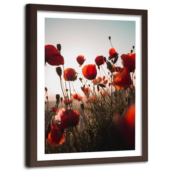 Obraz w ramie brązowej FEEBY, Czerwone Maki Polne Kwiaty 60x90 - Feeby