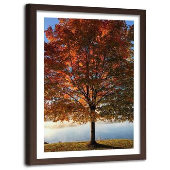 Obraz w ramie brązowej FEEBY, Drzewo Jesień Liście 80x120 - Feeby