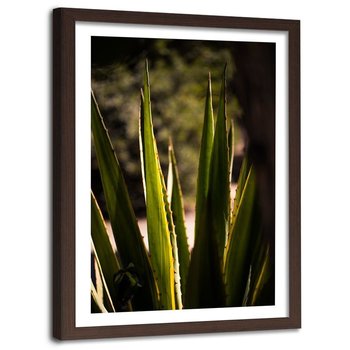 Obraz w ramie brązowej FEEBY, Kolczaste liści, 60x90 cm - Feeby