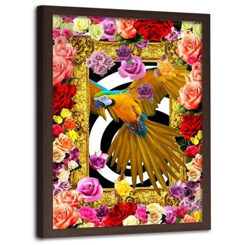 Obraz w ramie brązowej FEEBY, Papuga,kolorowe kwiaty róże 70x100 - Feeby