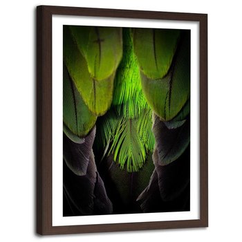 Obraz w ramie brązowej FEEBY, Pióra Ptaki Natura Zielony 80x120 - Feeby