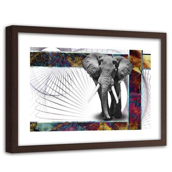 Obraz w ramie brązowej FEEBY, Słoń Zwierzęta 60x40 - Feeby