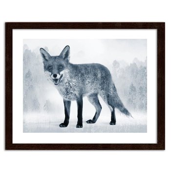 Obraz w ramie brązowej FEEBY, Szary lis, 40x30 cm - Feeby