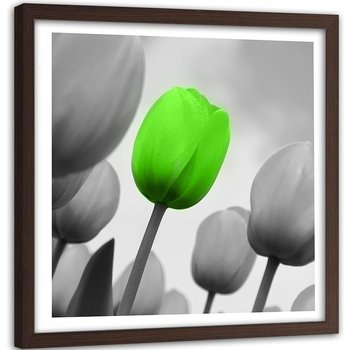 Obraz w ramie brązowej FEEBY, Tulipany Zielony Szary 60x60 - Feeby