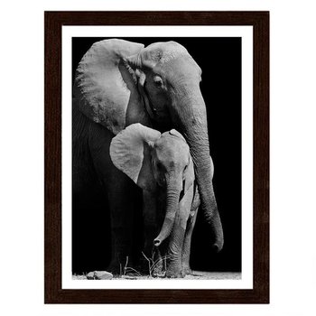 Obraz w ramie brązowej FEEBY, Wędrówka rodziny słoni, 80x120 cm - Feeby